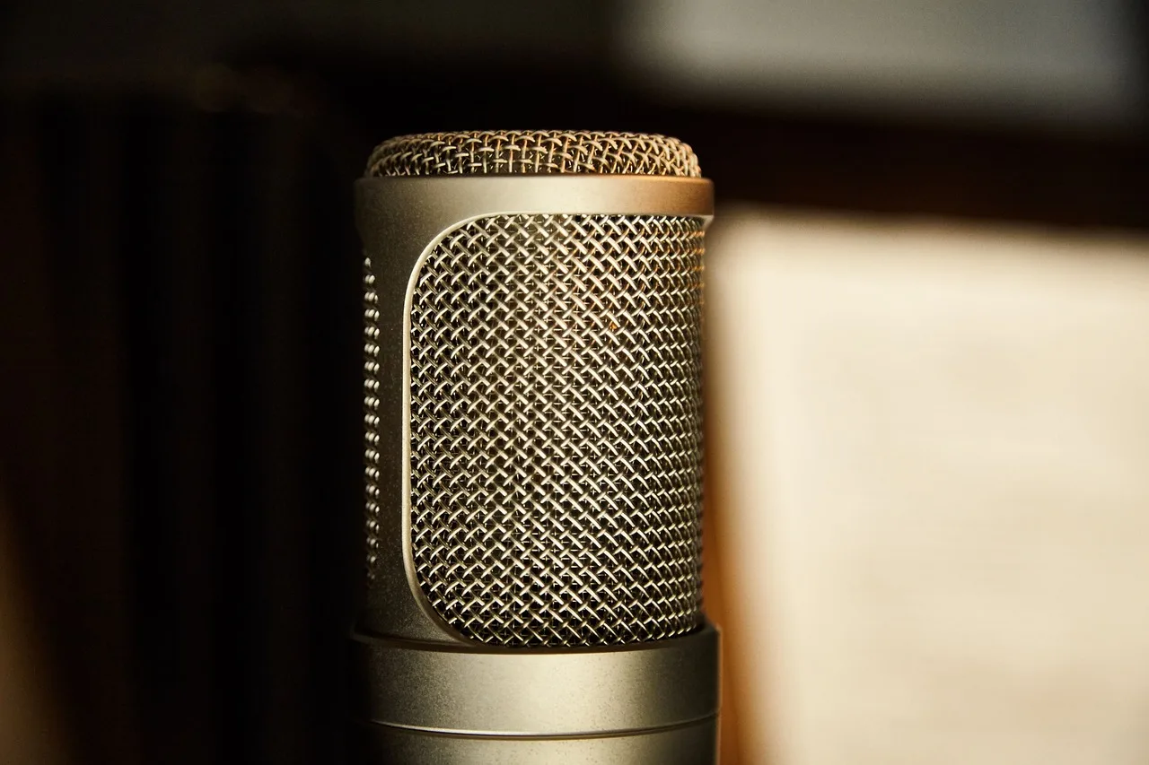 microphone, gesang, singing, gesangskabine, vocal booth, vocal booth, vocal booth, vocal booth, vocal booth, vocal booth. How to Treat a Vocal Booth Without Overbuilding